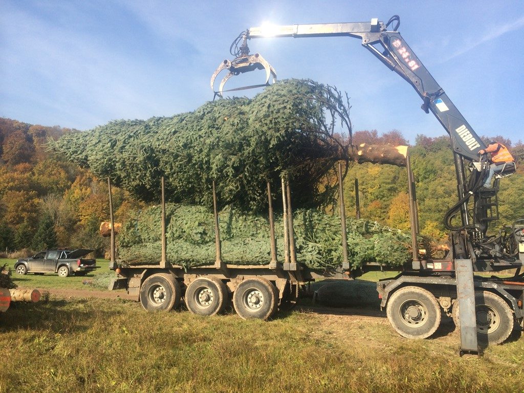 Pépinières Tschirhart - Pépinières TSCHIRHART à Guewenheim - Cernay - Muhlouse - Colmar (Alsace) - Vosges
